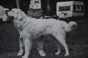 Jontek Ogrod Parysa 1989