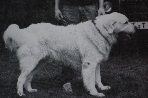 Jontek Ogrod Parysa 1989